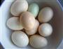 卤茶叶蛋的做法图解1