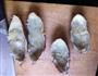 芝士焗红薯的做法图解1