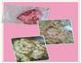 猪肉白菜饺子的做法图解2