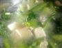 小白菜豆腐羹的做法图解7