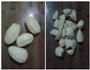 豆角炖土豆的做法图解2