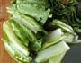 小白菜豆腐粥的做法图解4