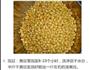 辣条的做法图解1