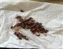 排骨炖豆角的做法图解1