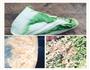 白菜虾仁饼的做法图解1
