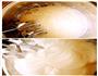 美味蛋糕卷的做法图解6