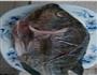 食谱征集.家常烤鱼的做法步骤1