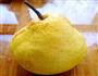 雪梨煲的做法图解1