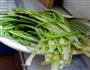 豆豉油麦菜的做法图解1
