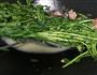 上汤西洋菜的做法图解6