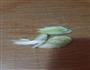 鸡蛋西红柿打卤面的做法图解2
