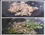 青椒香菇的做法图解3