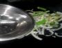 黑椒牛肉粉的做法图解9