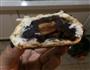 蛋黄酥的做法图解5