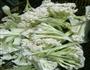 干锅花菜的做法图解1