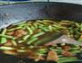 肉炒豆角莜面的做法图解8