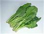 菠菜汤的做法图解3