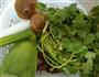 青萝卜香菇香菜饺子的做法图解1