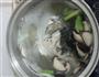 鱼头豆腐汤的做法图解3