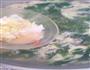 芹菜叶蛋花汤的做法图解5