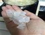 银耳雪梨羹的做法图解4