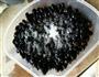 空气炸锅炸盐水黑豆的做法图解2