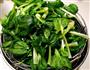 清炒乌塌菜的做法图解1