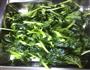 肉丝塌棵菜的做法图解2