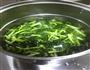 肉丝塌棵菜的做法图解3