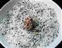 黑芝麻香菇小丸子的做法步骤6