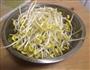 韭菜银芽的做法步骤1