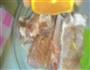 橙汁烤排骨的做法图解3
