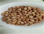 少油花生米的做法图解1