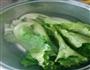 水焯生菜的做法步骤2