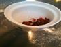 蔓越莓牛奶蜂蜜燕窝的做法图解5