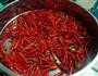 桂林传统辣椒酱的做法图解1