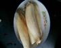 青红椒杏鲍菇炒肉片的做法图解2