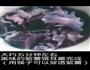 紫薯银耳羹的做法图解5