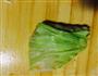 包菜卷的做法图解5