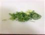 麻鱼闷番茄与咸菜的做法图解4