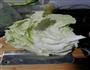 醋溜白菜的做法图解2