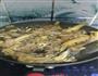 家鸡炖蘑菇的做法图解3