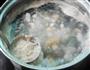滋阴养胃-芡实干贝猪腱子汤的做法图解4