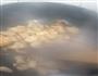 回锅肉的做法图解5