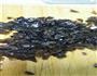 珍珠荸荠牛肉丸子的做法图解5