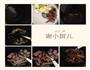 排骨两吃、糖醋排骨、炖菜的做法图解2