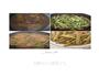 排骨两吃、糖醋排骨、炖菜的做法图解6