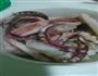 鱿鱼鸡蛋炒饭的做法图解1