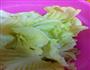 香辣白菜的做法图解1