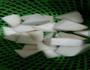 三杯杏鲍菇的做法图解2